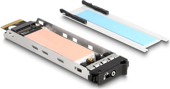 Actual product image Delock Removable rack Slot 1 x M.2 NMVe SSD for removable rack