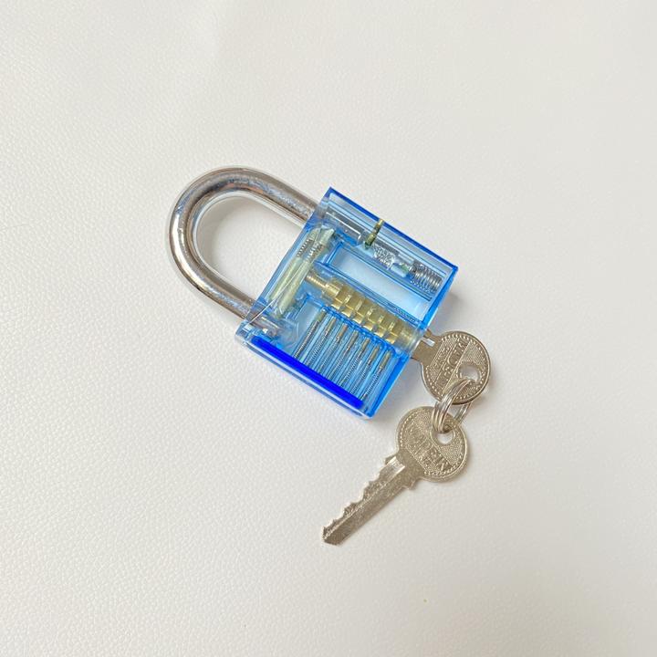 Werkstein Dietrich Lockpicking Set (Profilzylinder)
