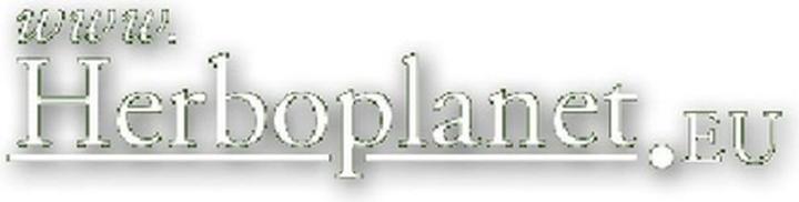 Artsana Bodythin Liquid 500ml (Körperlotion, 500 ml)