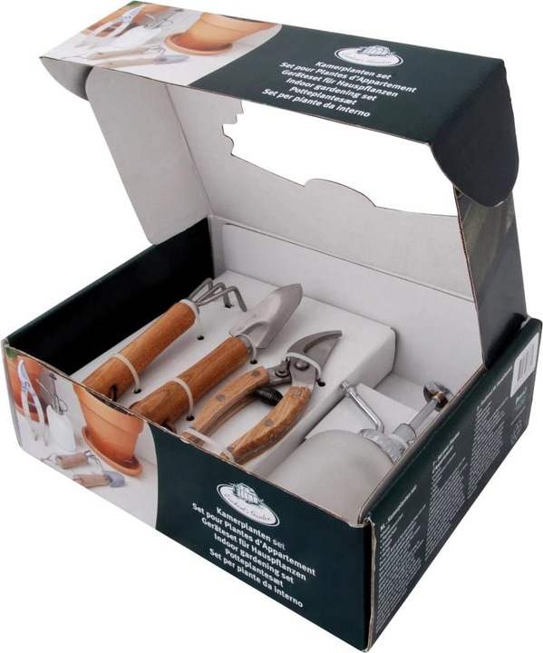Immagine prodotto Esschert Design Set di piante di cannella 4 pezzi