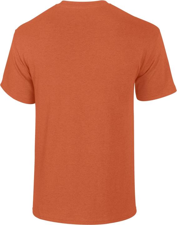 Actual product image Gildan Mens Heavy Cotton T-Shirt (XL)