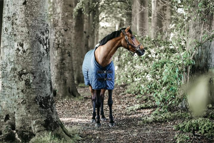 Produktbild Kentucky Horsewear Stalldecke 0g (140 cm)