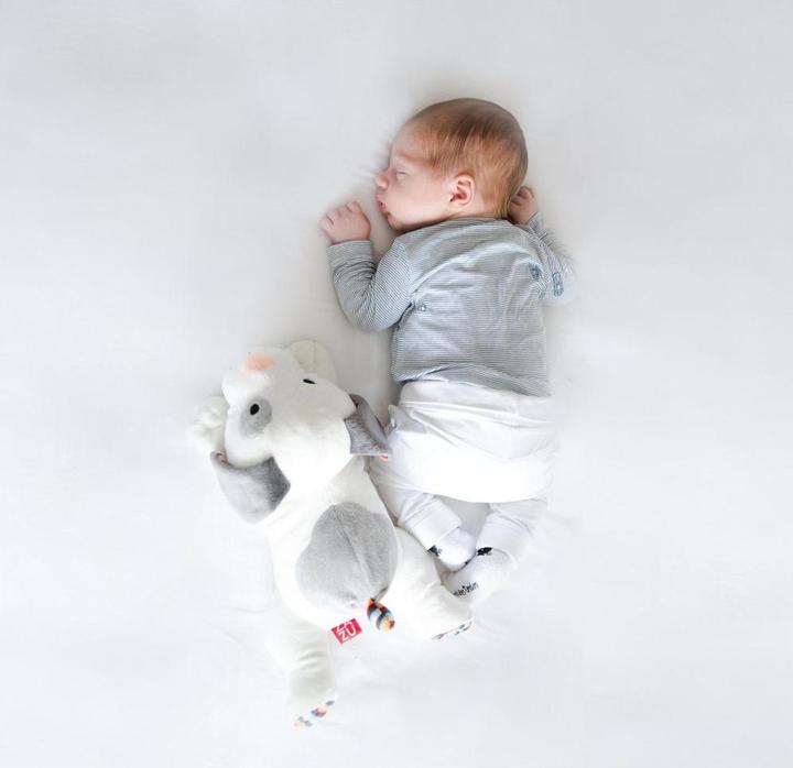 Produktbild ZaZu Dex (32 cm)