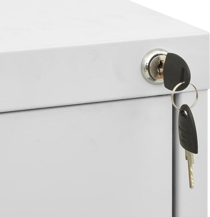 Image du produit vidaXL Büroschrank (46 x 62 x 164 cm)