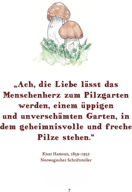 Actual product image Die häufigsten Pilze der deutschen Mittelgebirge leicht bestimmen (German, Thomas Regnery, Hilke Käsebier, 2022)