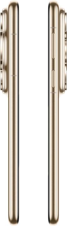 Actual product image Huawei P80 Ultra Gold (512 GB, Prestige Gold, 6.80", eSIM)