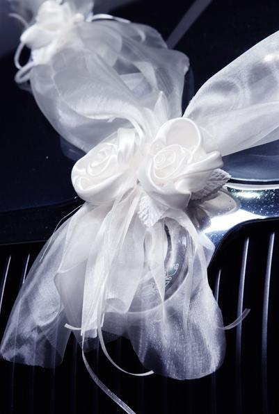 Immagine prodotto Partydeco Accessori per feste Decorazione auto Organza 1,8 m, 2 pezzi, bianco (2 pz.)