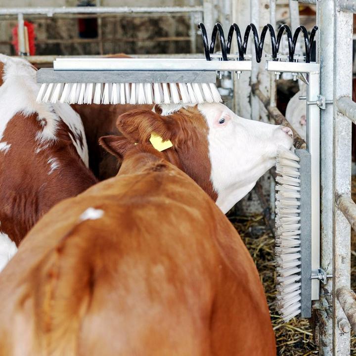 Productafbeelding Kerbl Veeborstel