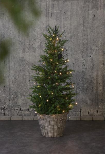 Produktbild Star Trading Lichterkette (2.70 m)