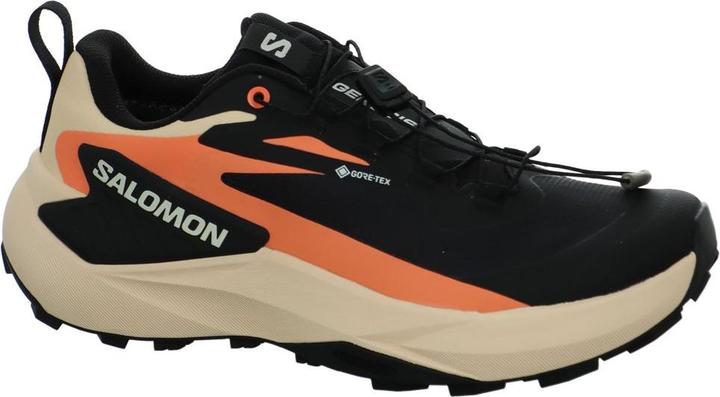 Produktbild Salomon Genesis GTX (38)