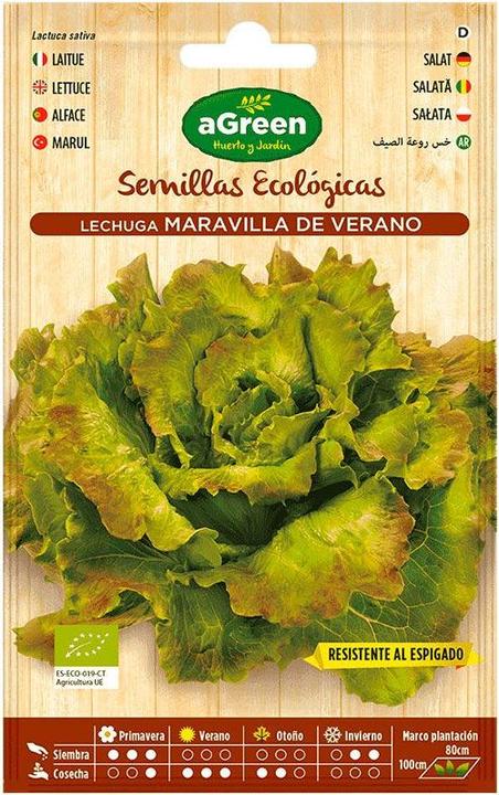 Agreen Envelope of eco seeds salad maravilla (Vegetable seeds)
