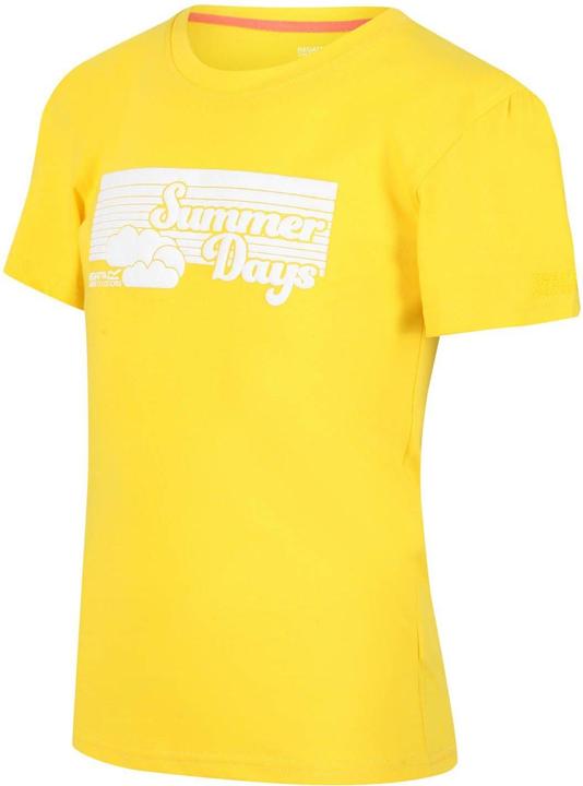 Produktbild Regatta Bosley V Summer Days TShirt (140)