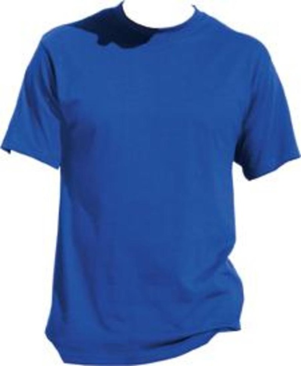 Image du produit Promodoro Hommes Premium T-shirt taille XXL royal (XXL)