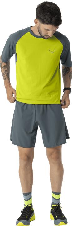 Produktbild Dynafit Alpine Shorts (L)