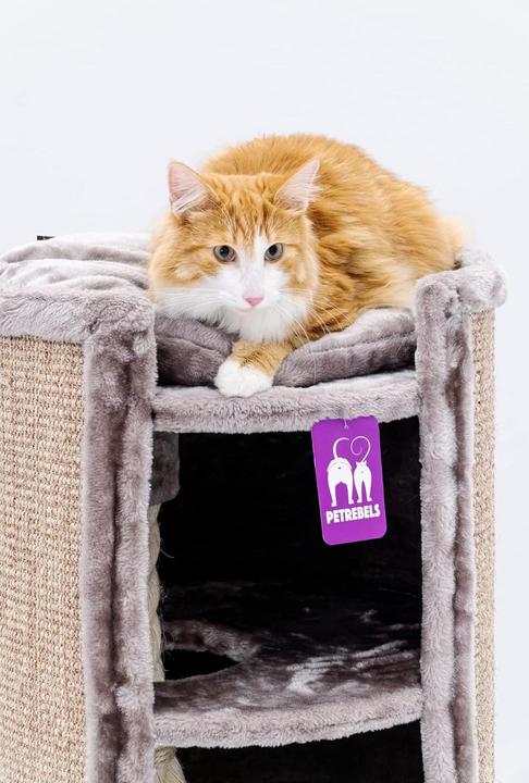 Produktbild Petrebels Superdome (120 cm, Braun)