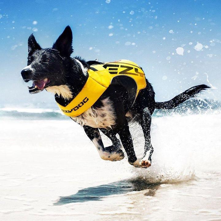 Immagine prodotto EzyDog Giubbotto di salvataggio X2 Boost (S, Giubbotto di salvataggio per cani)