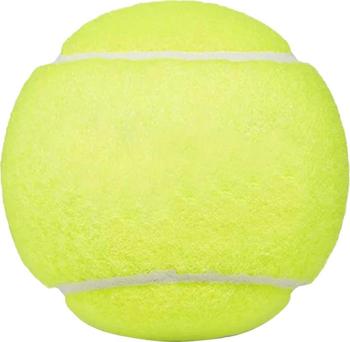 Productafbeelding Dunlop Fort All Court 12-pack tennisballen