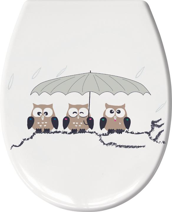 Kleine Wolke Eulen