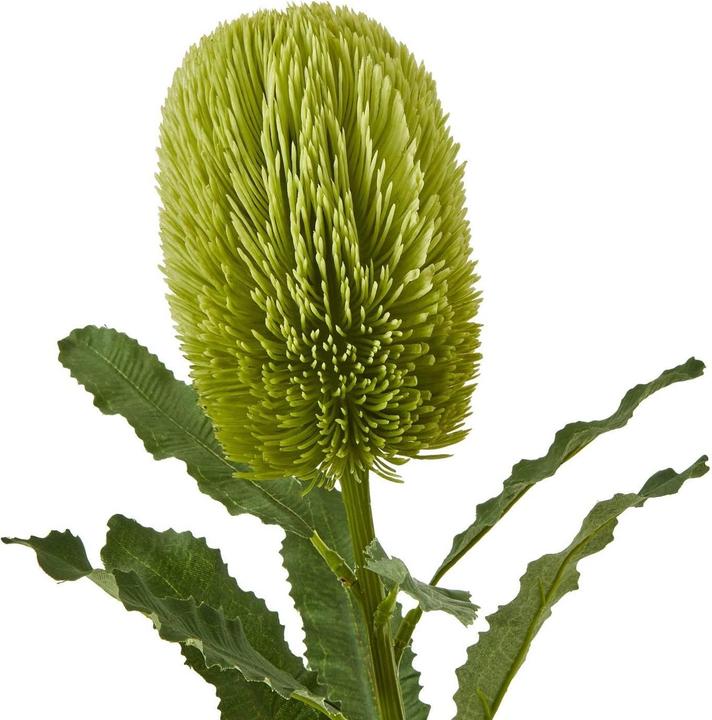 Actual product image Hill Interiors Banksia Serrata Artificial Flower (65 cm)