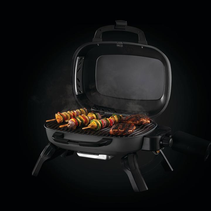 Actual product image Napoleon Grills TravelQ 240 (2.60 kW)