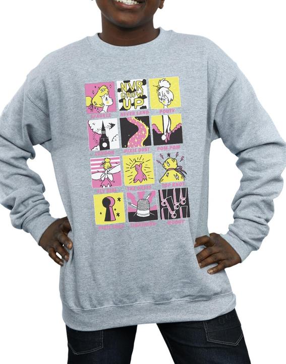 Actual product image Disney Boys Tinkerbell Squares Sweatshirt (140, 146)