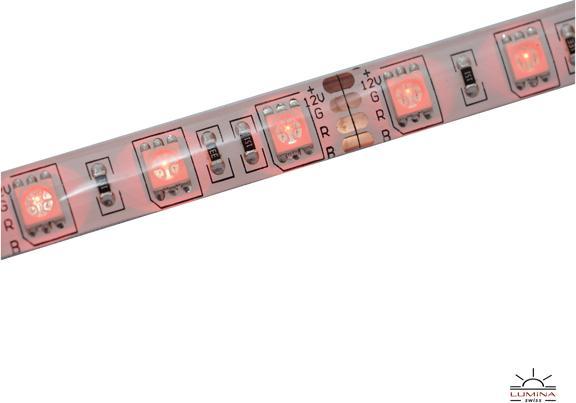 Image du produit Lumina Swiss Bande LED multicolore 10m Pure Outdoor (1000 cm, Extérieur)