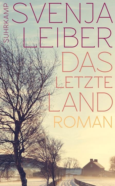 Das letzte Land (Deutsch, Svenja Leiber, 2015)