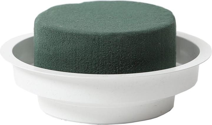 Oasis Mousse enfichable