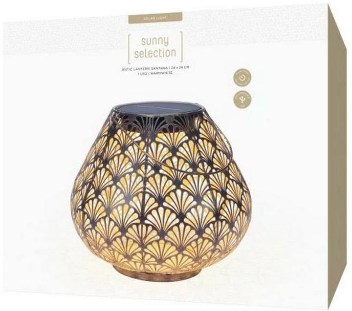 Actual product image STT Solar Antic