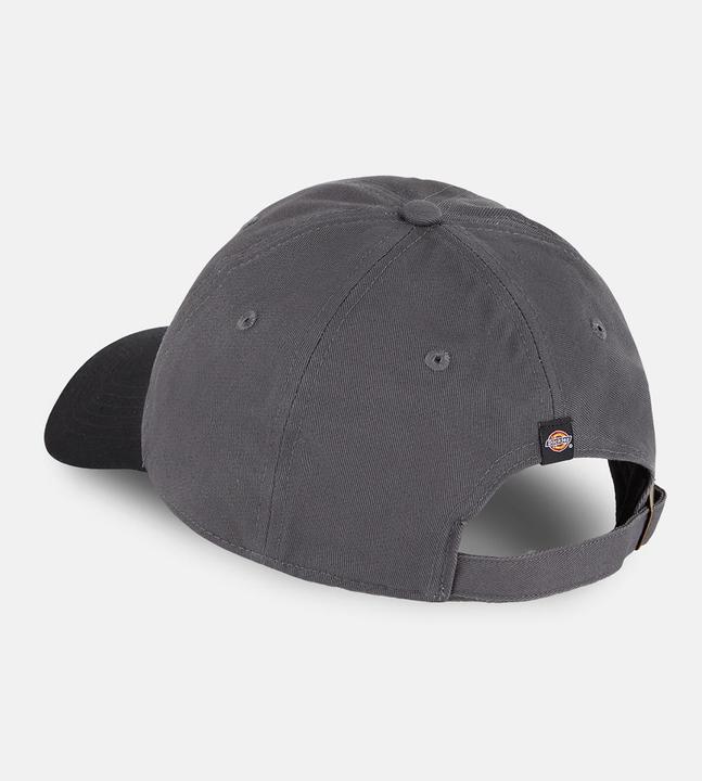 Produktbild Dickies Twill Dad Hat