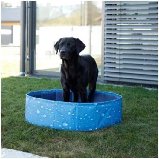 Produktbild Kerbl Hundepool Bubble, Planschbecken für Hunde, Robust Kratzfest Faltbar, 2 Gr. (Hundepool)