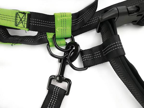 Produktbild Record Joggingleine mit Gürtel (Hund, Spazieren)