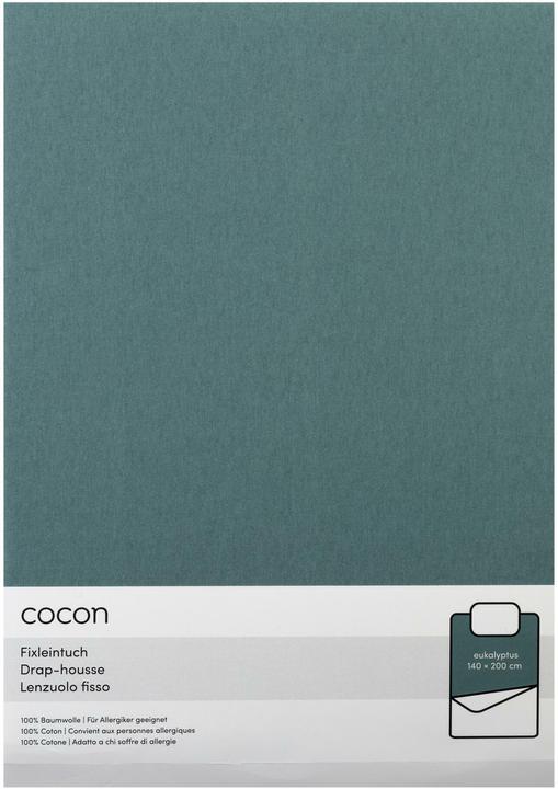 Cocon Eucalyptus