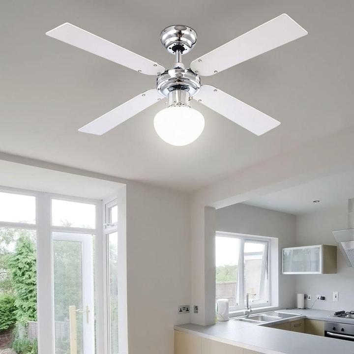 Actual product image Globo Champion (41.89 dB)