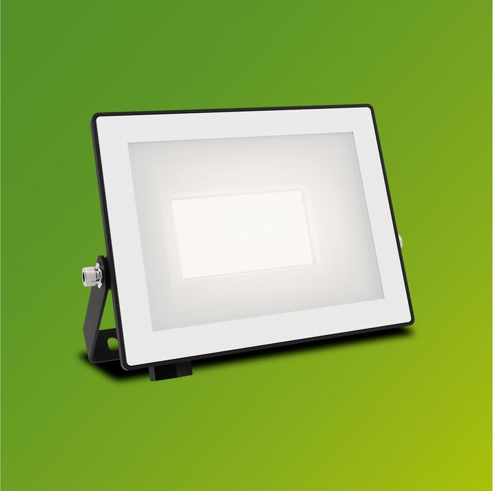 Immagine prodotto Philips Outdoor Flutlicht Lois (2050 lm, IP65)