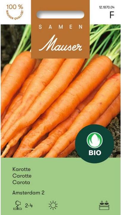 Actual product image Samen Mauser Carrot Amsterdam 2 (Vegetable seeds)