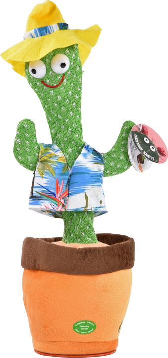 Kögler Cactus dansant (34 cm)
