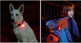 Actual product image Sigma Sport Micro