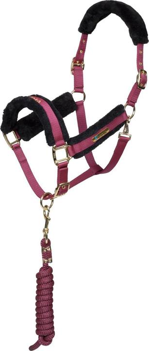 Image du produit Arma - Licol et longe