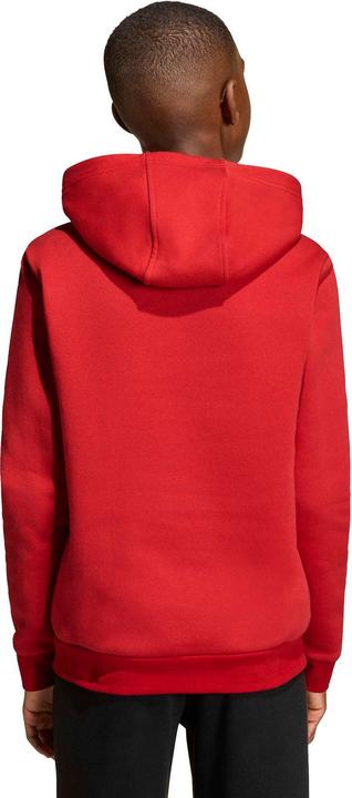 Produktbild Adidas Ent26 Hoody Y - tepore/white (176)