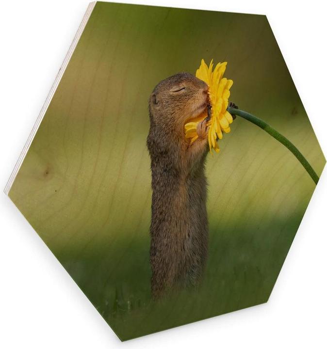 Immagine prodotto Trenddeko van Duijn - Gopher odora di fiori (25 x 22 cm)