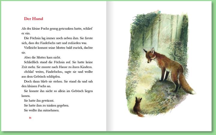 Image du produit Der Findefuchs (Allemand, Irina Korchounov, Reinhard Michl, 2021)