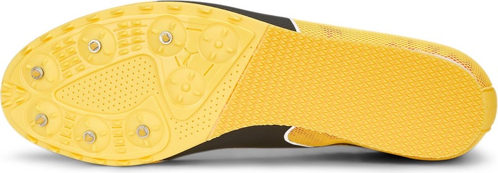 Actual product image Puma evoSPEED Star 8 (40)