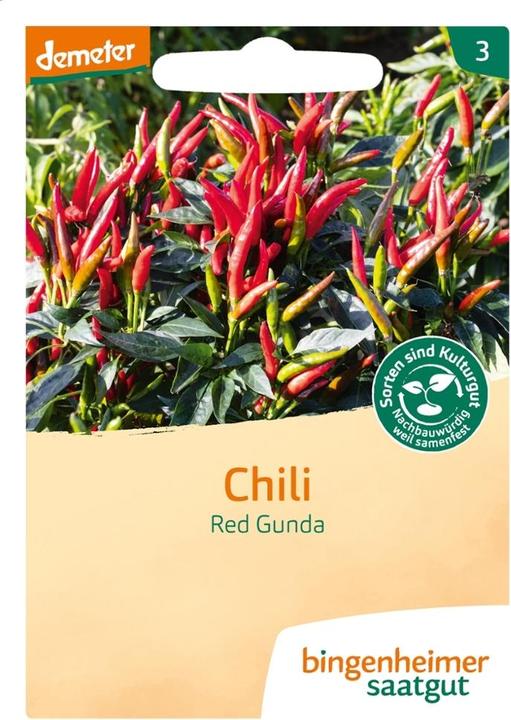 Bingenheimer Saatgut Chili Red Gunda
