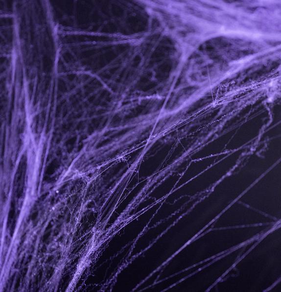 Partydeco Spider Web Decoration in Purple with 2 Spiders (1 pcs.)