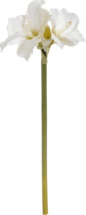 Image du produit Hill Interiors Tige de fleur d'amaryllis artificielle simple (81 cm)
