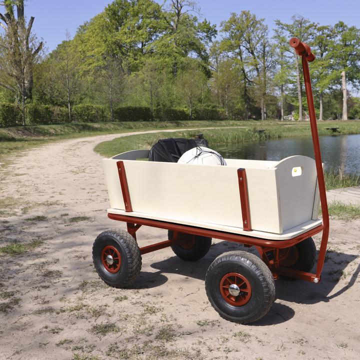 Actual product image Sunny Billy Beach Wagon