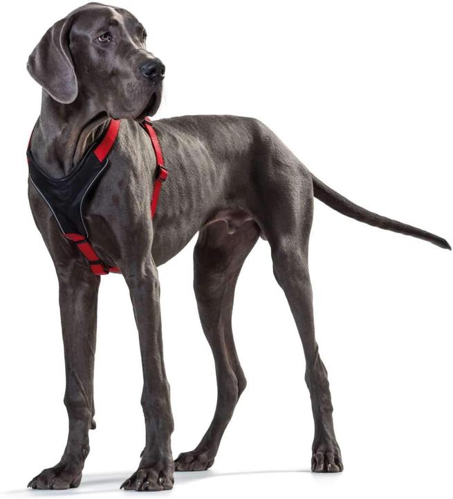 Immagine prodotto Hunter Pettorina per cani (XS, Cane, Generale)