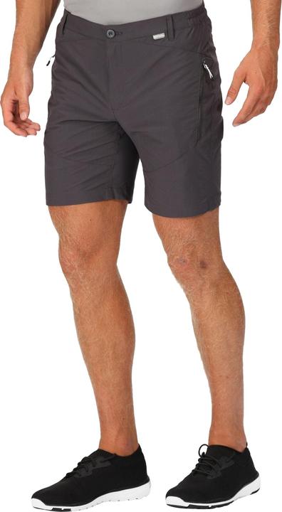 Actual product image Regatta Mens Highton Walking Shorts (44)