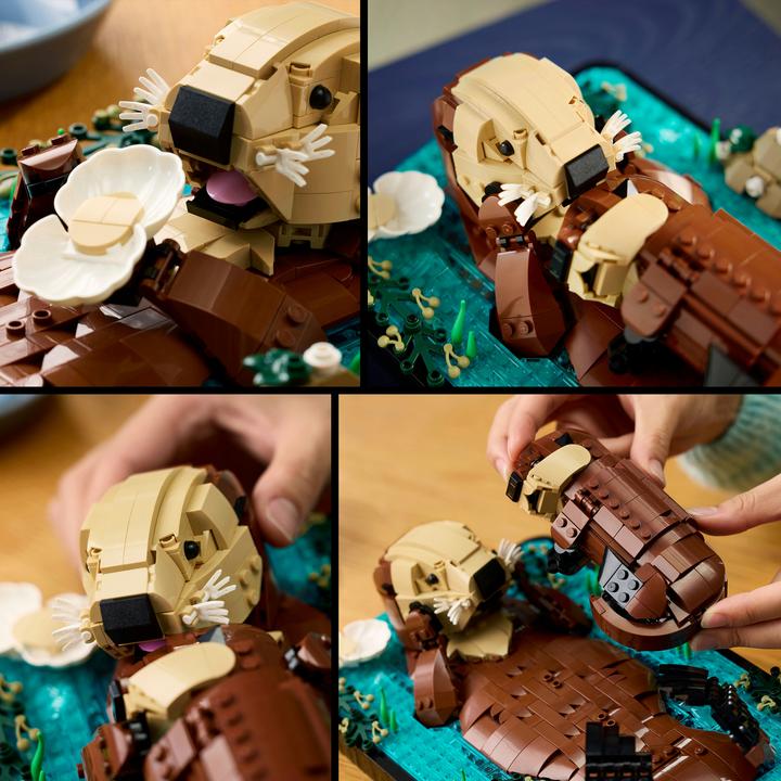 Image du produit LEGO Loutres flottantes (21366, LEGO Ideas)